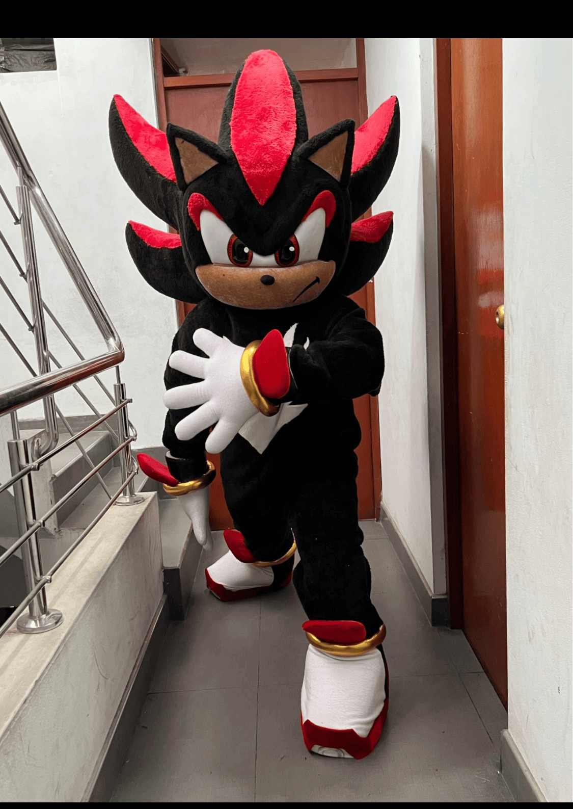 Animación de fiestas Providence - Foto 3